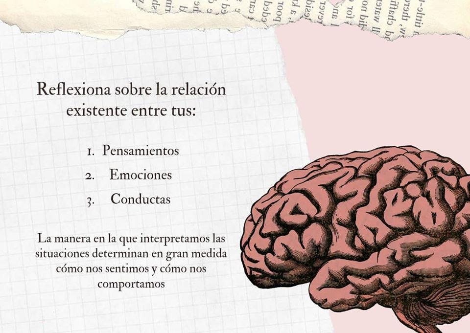 EL ABC DE LA PSICOLOGÍA COGNITIVA